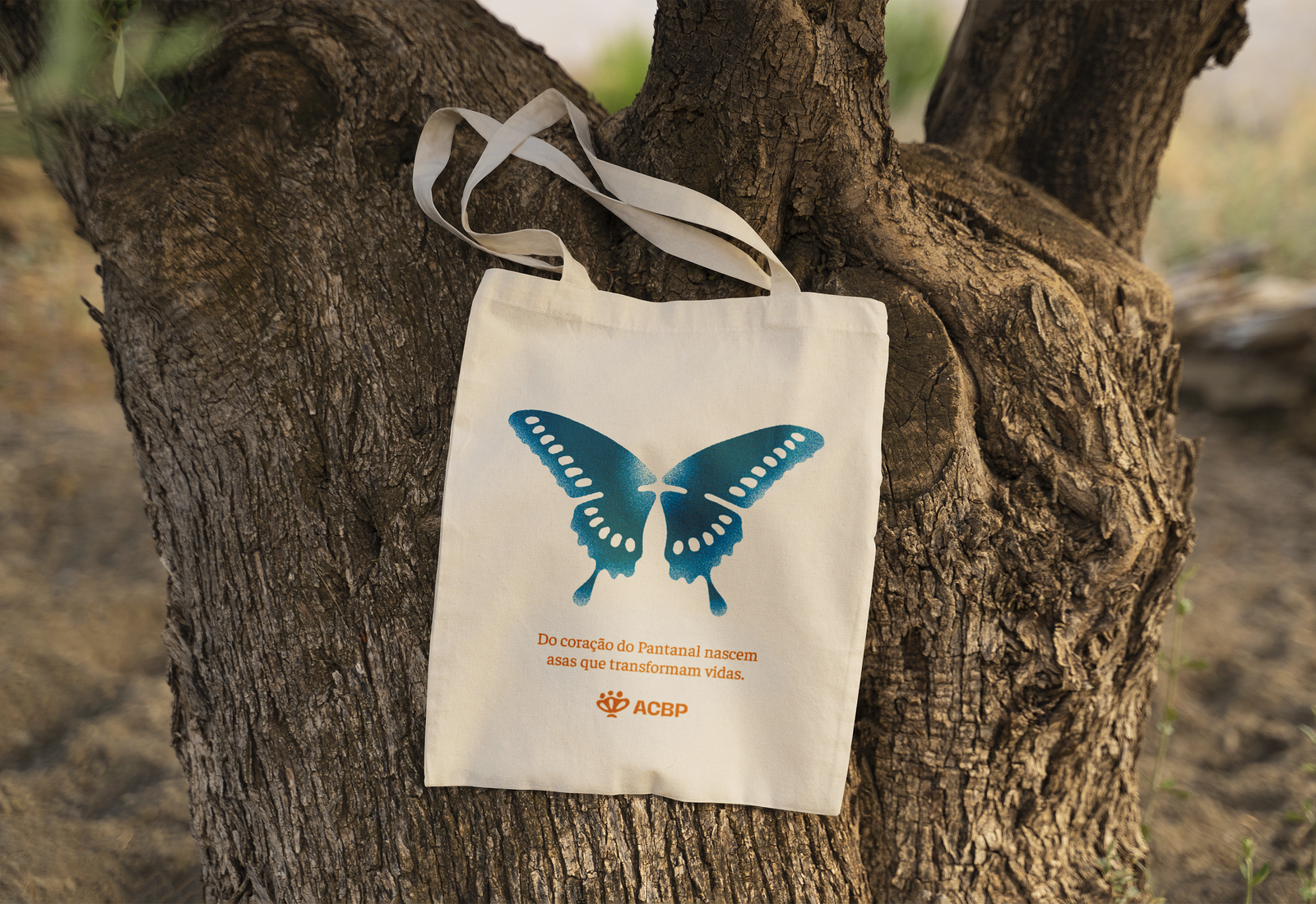 Descrição da imagem 1